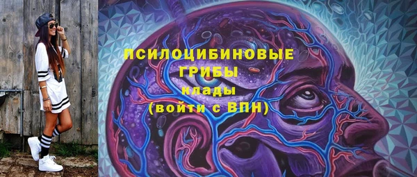 spice Алзамай